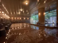 Grandvriohotel Unazukionsen - balneario
