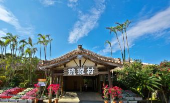 Hotel Palm Tree Hill