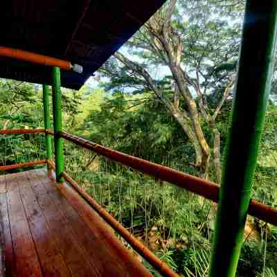 Family Cabin with River View Rooms