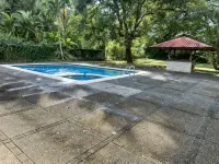 Macaw Paradise -  case vacanza in affitto