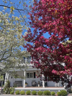 Williston Village Inn - parking