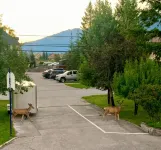 Mountain Springs Motel - Motels