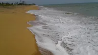 Calypso Sunset Beach Hotel - Ocean View