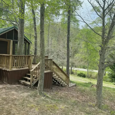 The Peaceful Pine Cabin