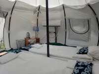 Bravo Adventure Glamping - Homestays