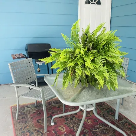 Charming 3-bedroom house near downtown Marshfield