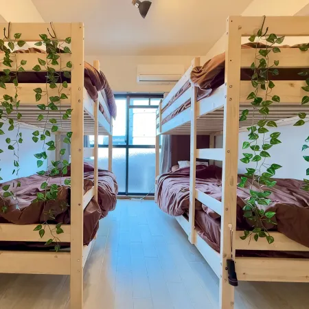 Free Wi-Fi and kitchen, perfect for group traveler