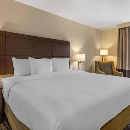 Comfort Inn & Suites Pittsburgh-Northshore