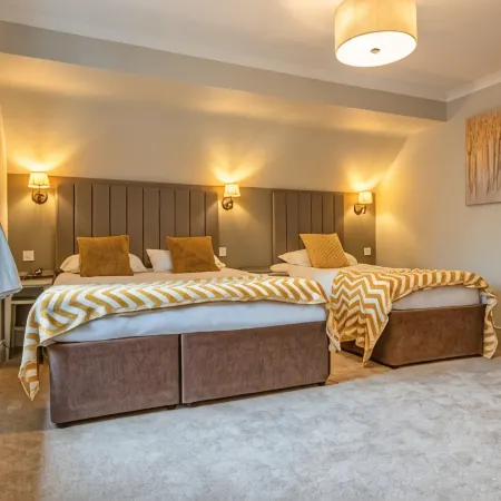 The Dog & Bear Hotel