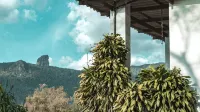 Hostel Picus - Hostels