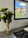 Plasencia Plaza Mayor Luxury