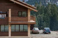 Chalet Forrest - С парковкой