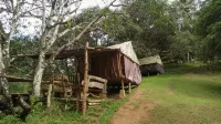 Cebu Hostel and Glamping