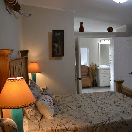 Forest cabin on 4 acres,  Newly renovated, Quiet and secluded.