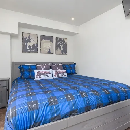 Family Time, Mountain Views, Perfect Vibes.Carleton Lodge Patio Condo.