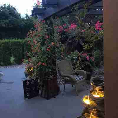 Mountain view, beautiful walk out suite overlooking a park and creek. 3bedrooms. Hotel Exterior