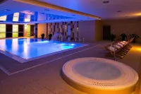 Z-Hotel Business & Spa - piscina