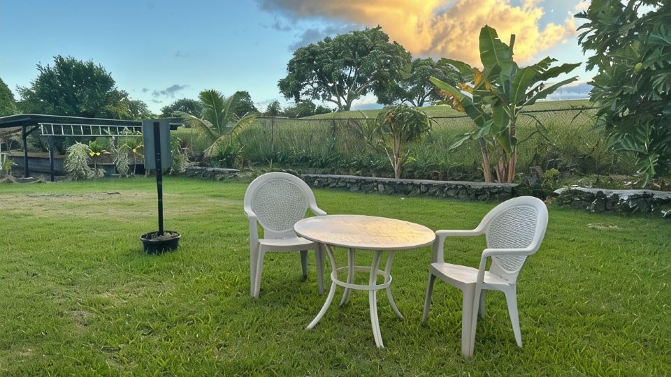 Puakenikeni Hilo Hale