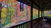 Twin Fox Cabin Peaceful Blue Ridge/Ellijay Retreat - Alphydda