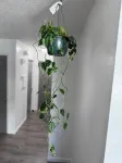 基奈河口兩卧室公寓，配有特大床，可住6人 - Wi-Fi