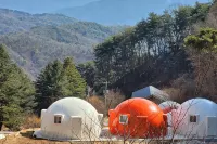Wonju Forest Dome - مسبح