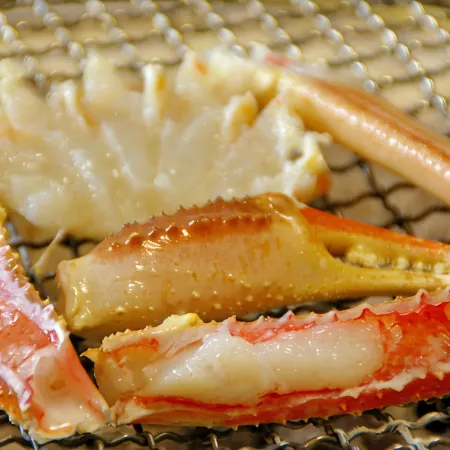 Watanabekan