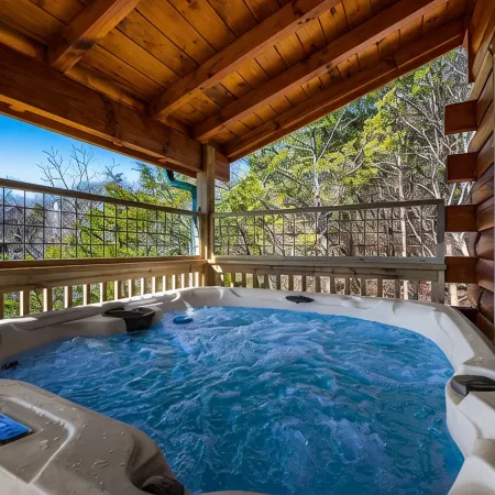 Accessible Cabin in Resort, Pool, Views, Theater and Game Loft!