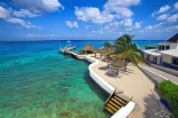 Casa del Mar Cozumel Hotel & Dive Resort - Beach