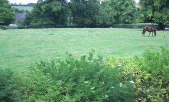 a horse grazing in a green field with trees and houses in the background , under a cloudy sky at Stone House