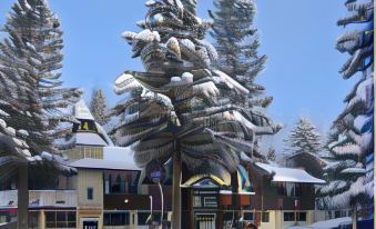 Alpenhof Lodge