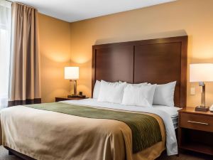 Comfort Inn Lancaster County