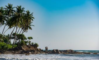 Jungle Beach Ahungalla