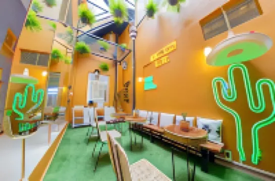 Once Upon A Time in Mexico - Kasa Kaktus