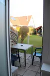 Pension Boitz