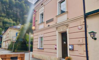 Amadea - Cityhotel Salzburg