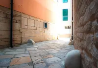Affittacamere Il Vicolo | Ruvo di Puglia Hotel a Ruvo di Puglia