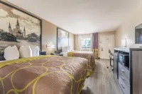 Super 8 by Wyndham Lake Charles Northeast Hotels in Moss Bluff