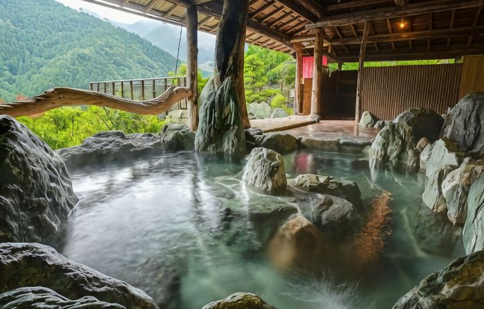 SHINIYAONSEN HOTEL KAZURABASHI