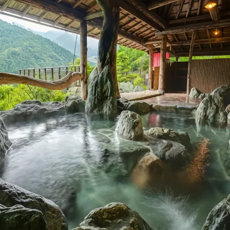 SHINIYAONSEN HOTEL KAZURABASHI