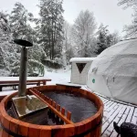 Estación Benedicto Hotels in Curacautin
