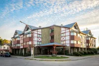 Calafate Parque Hotel Hotels in 