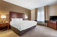 Comfort Inn - bar