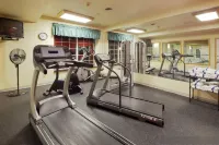 Country Inn & Suites by Radisson Kenosha - Pleasant Prairie - Gym