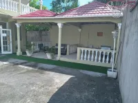 Comfy Guest Rooms Hotels in 