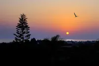 Amazing Pool, Complete Privacy, Amenities and Beach Nearby Hotels in Peyia