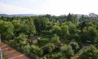 Mhost Bronowice