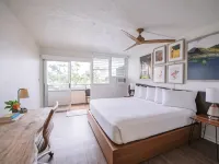 Scp Hilo Hotel Hotels in Hilo