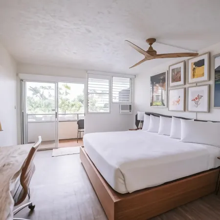 Scp Hilo Hotel
