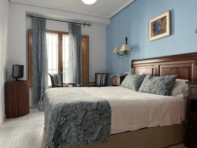 Hotel Maestre Hotels in 