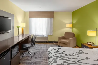 Sleep Inn & Suites Harbour Pointe 록우드 공원 주변 호텔